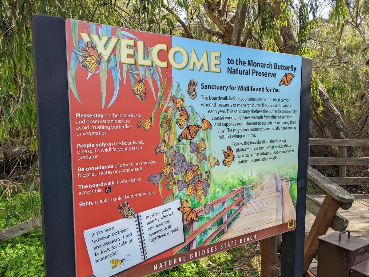 Natural Bridges Monarch Trail