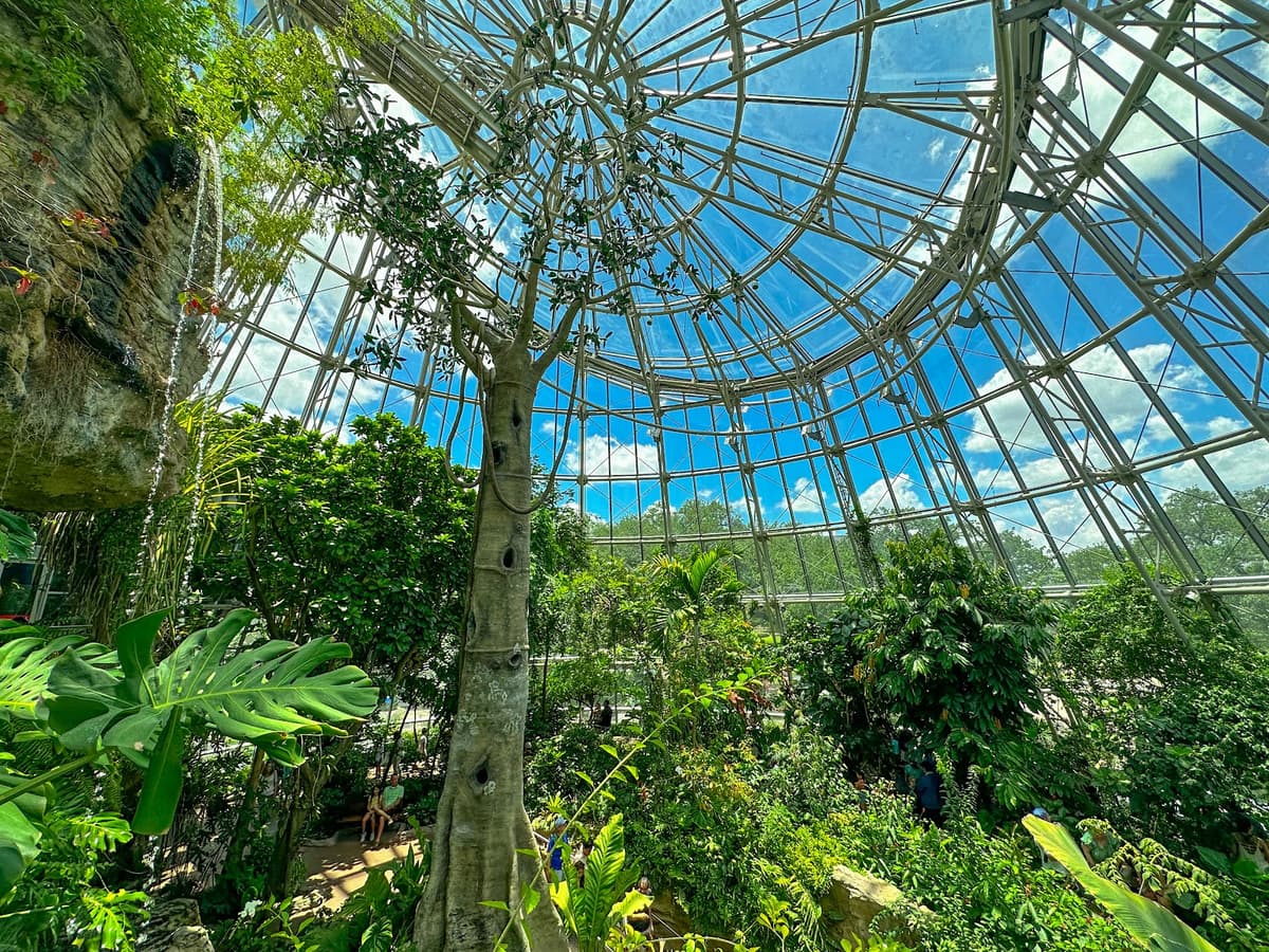 Cockrell Butterfly Center