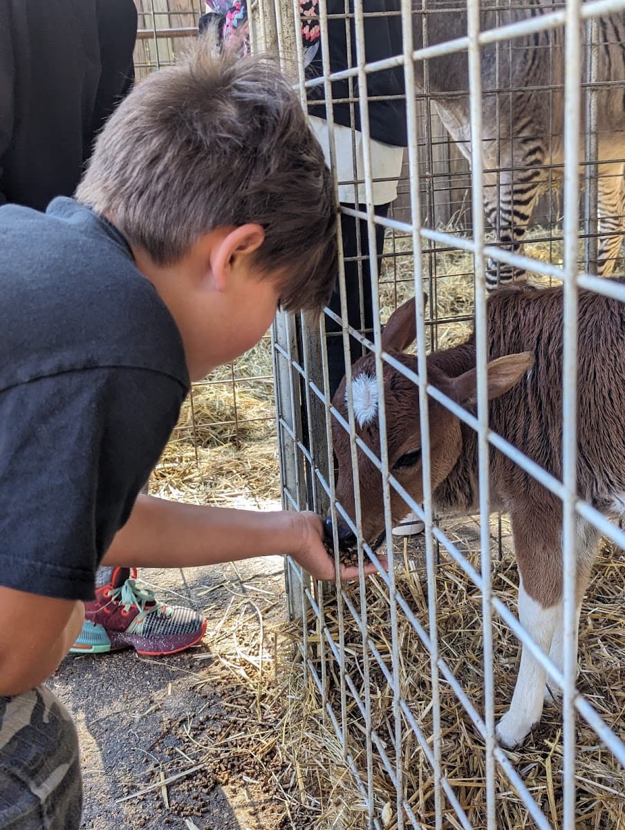Little Ponderosa Zoo and Rescue