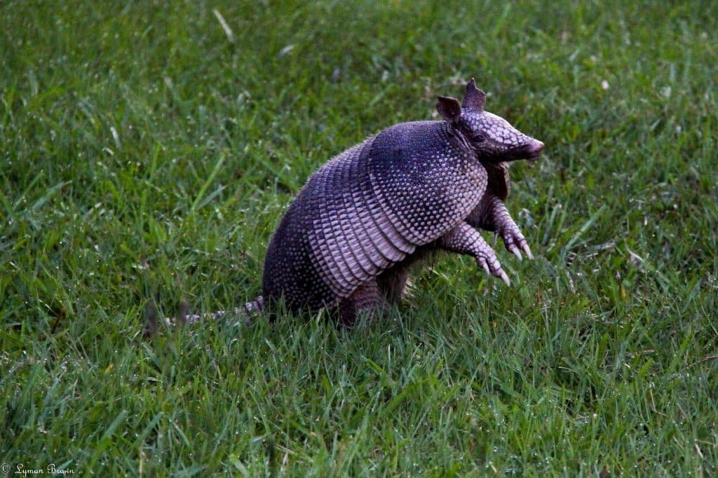 Armand Bayou Nature Center — photo 1 of 6