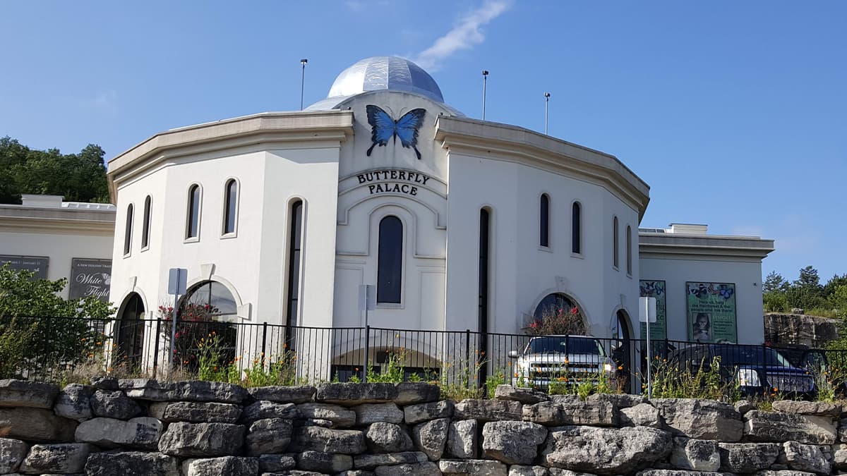 The Butterfly Palace & Rainforest Adventure