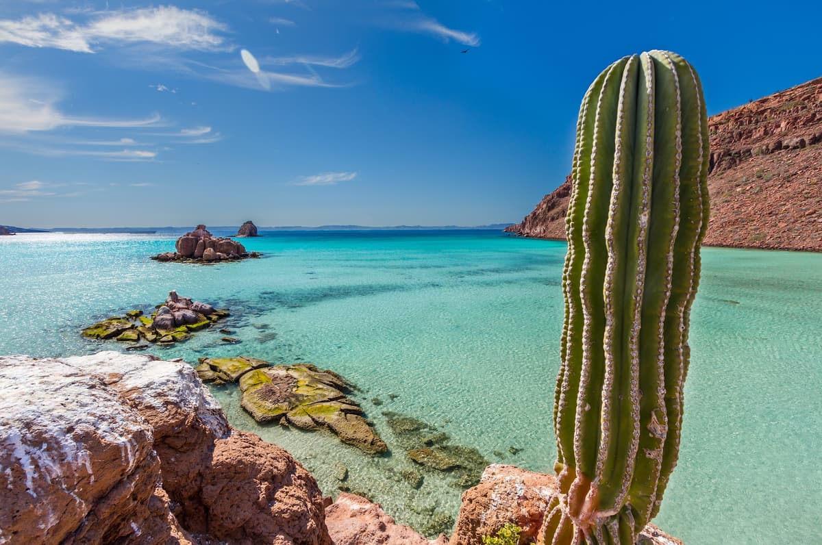 Todos Santos Day Trip — photo 1 of 1