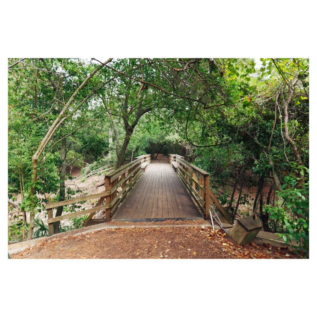 Houston Audubon — photo 1 of 1