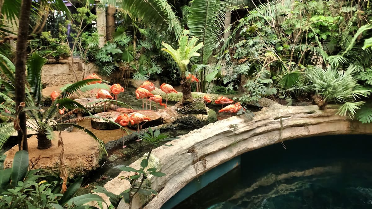 The Dallas World Aquarium