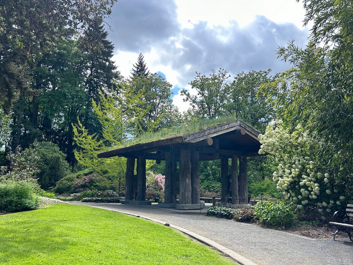Pacific Connections Gardens at Washington Park Arboretum
