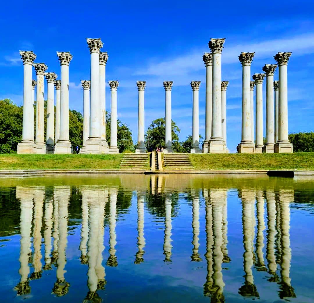 United States National Arboretum — photo 1 of 1