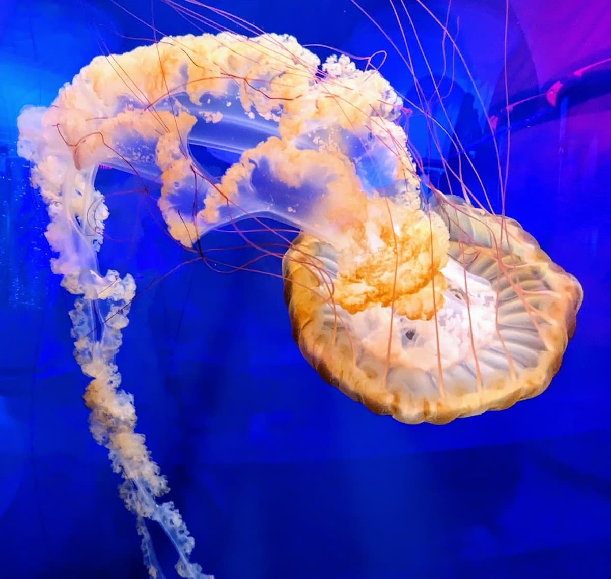 North Carolina Aquarium on Roanoke Island