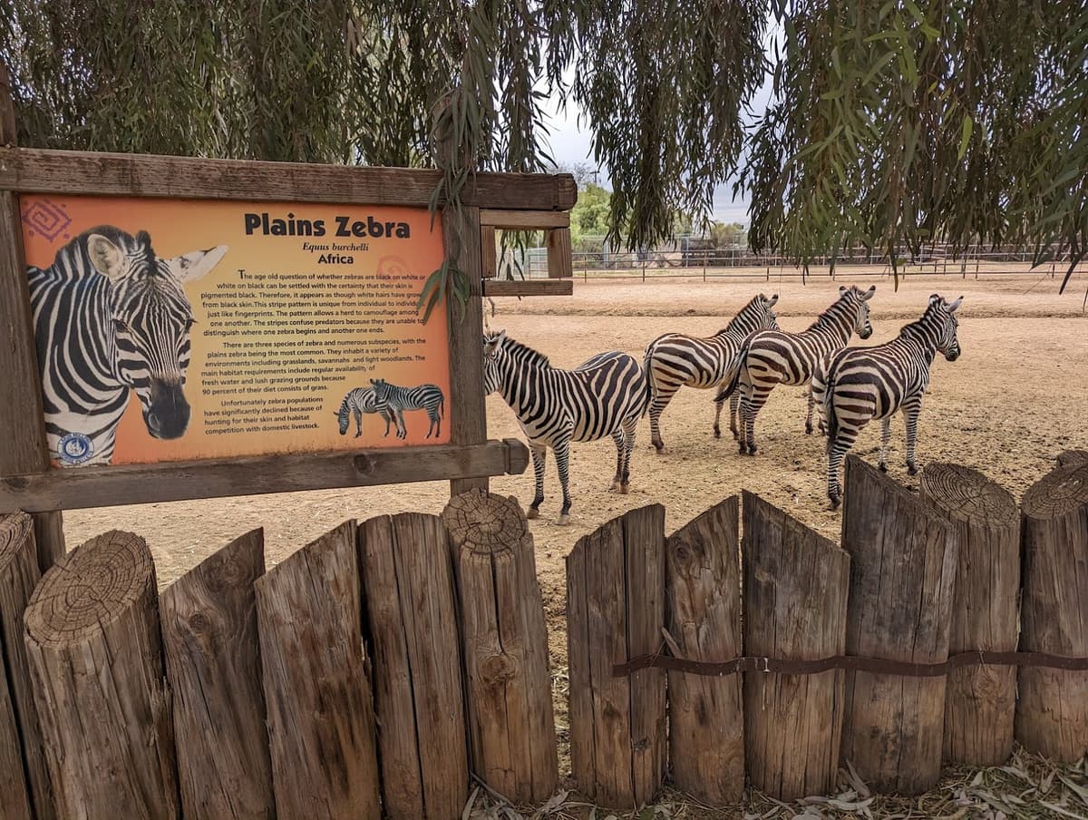 Wildlife World Zoo, Aquarium & Safari Park