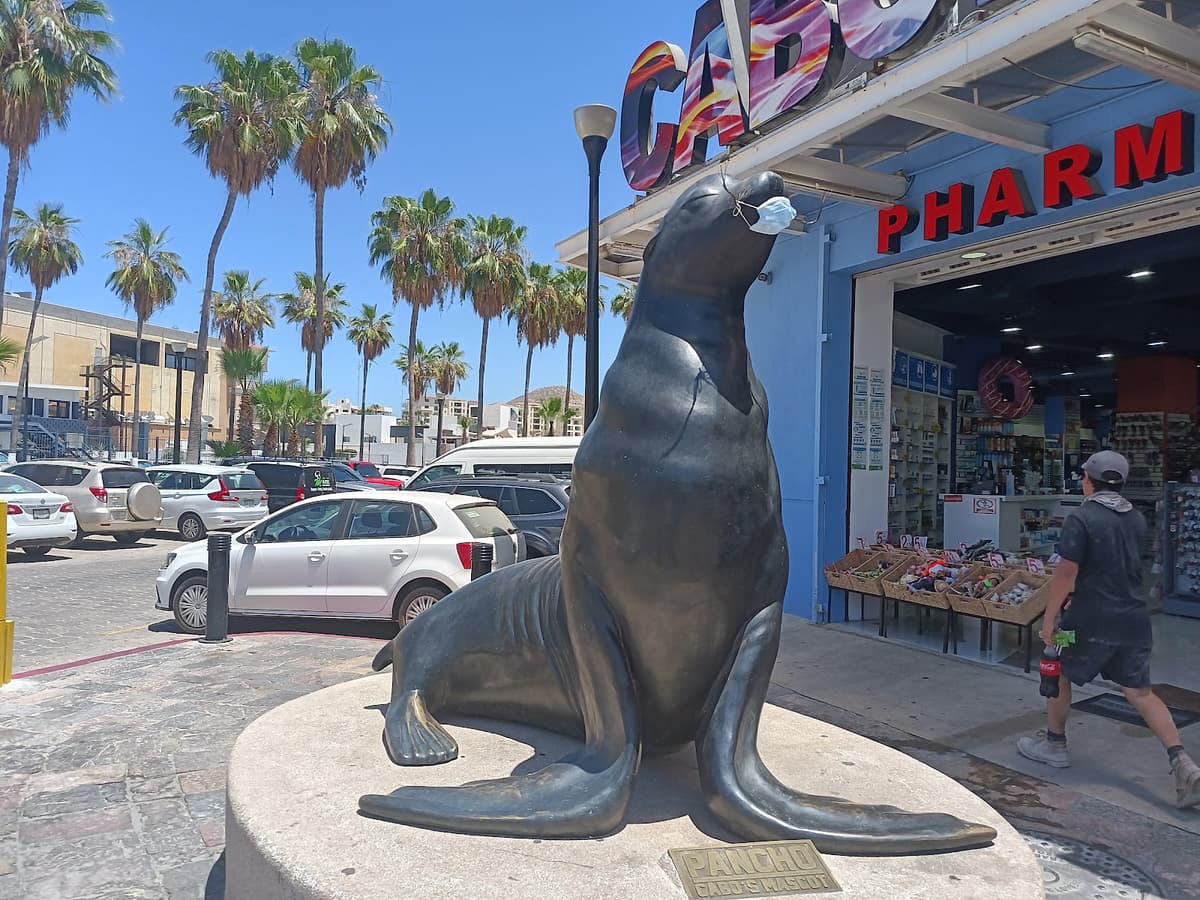 Downtown Cabo San Lucas Shopping — photo 1 of 1