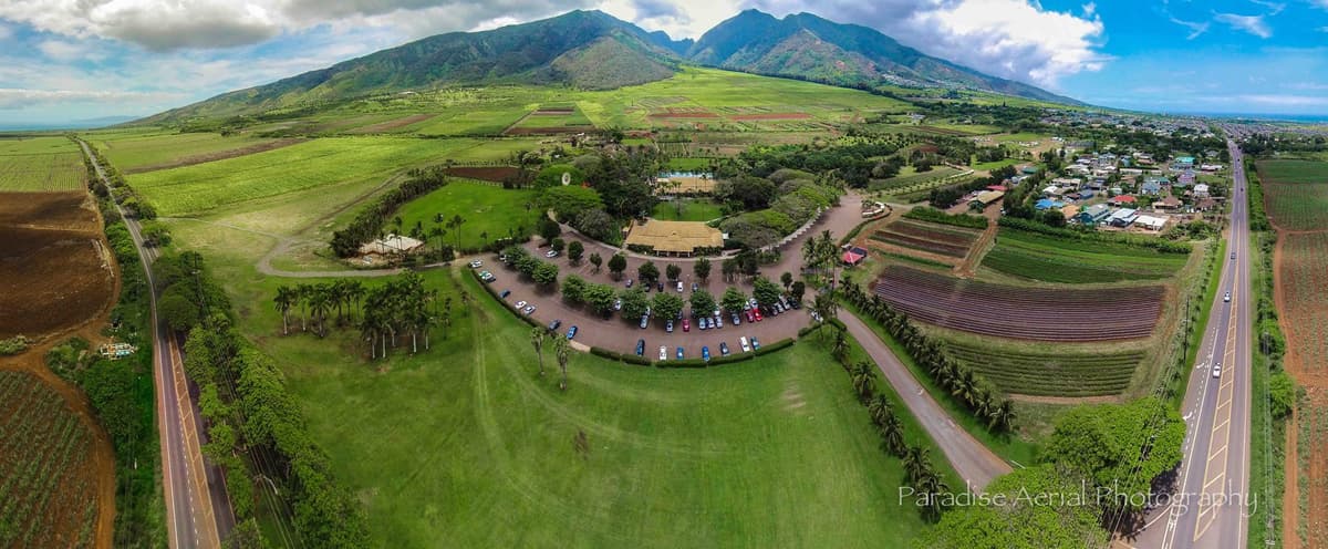 Maui Tropical Plantation