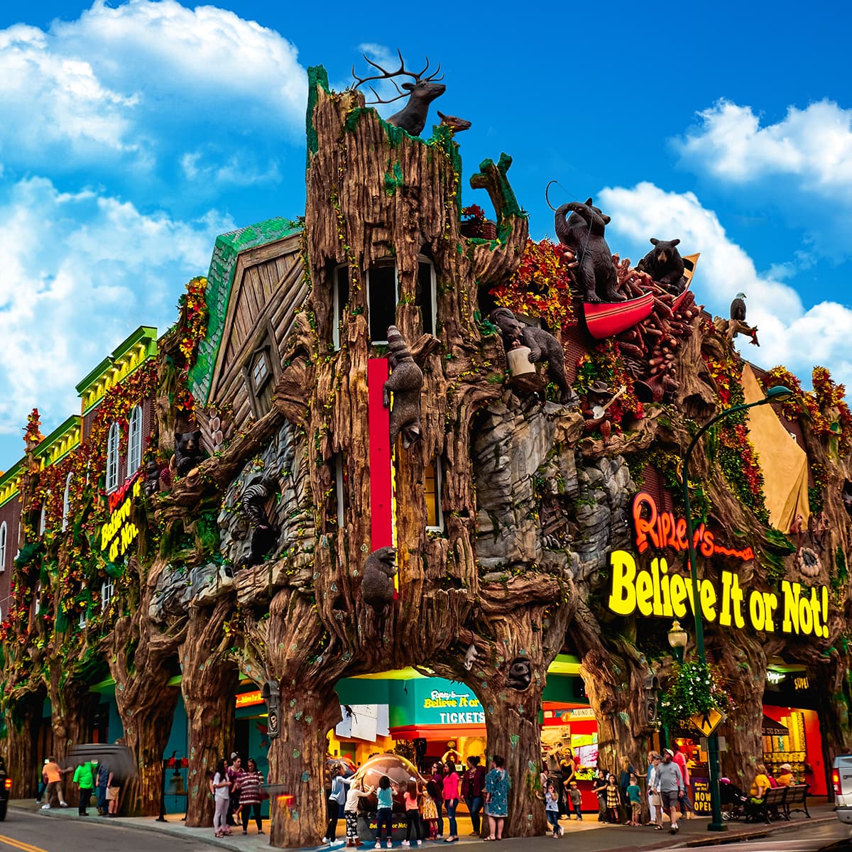 Ripley's Believe It or Not!