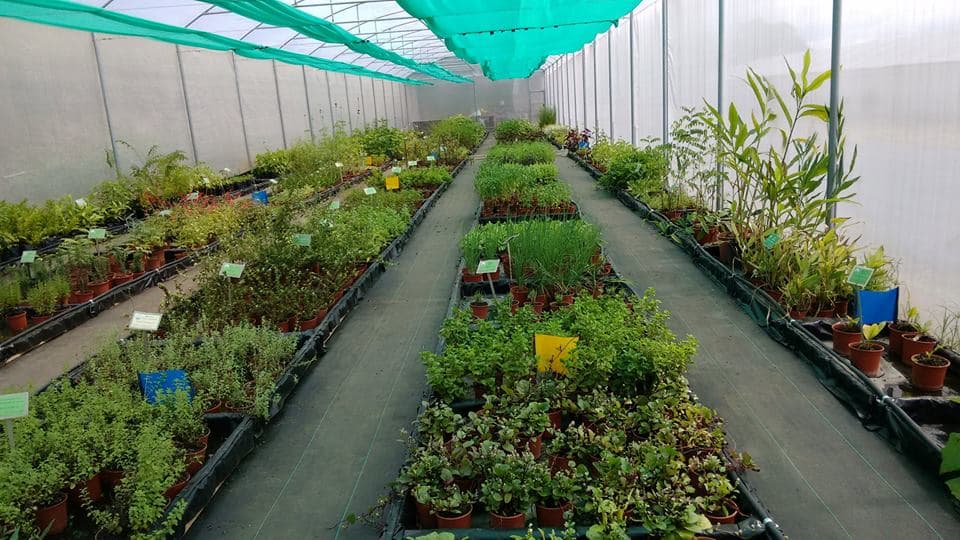 El Arca Vivero — photo 1 of 6