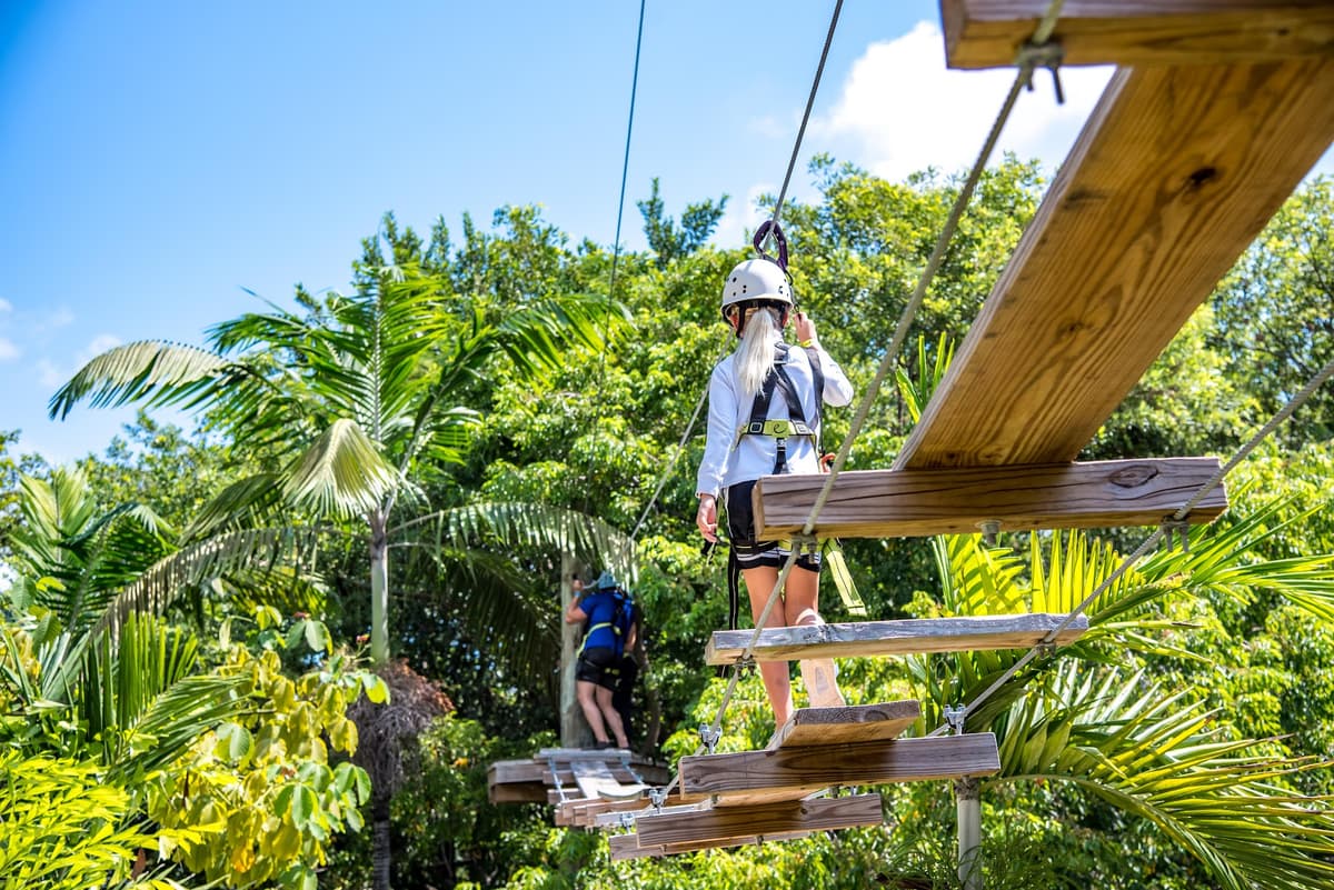 Treetop Trekking Miami