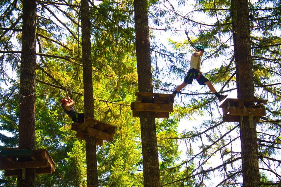 Tree to Tree Adventure Park