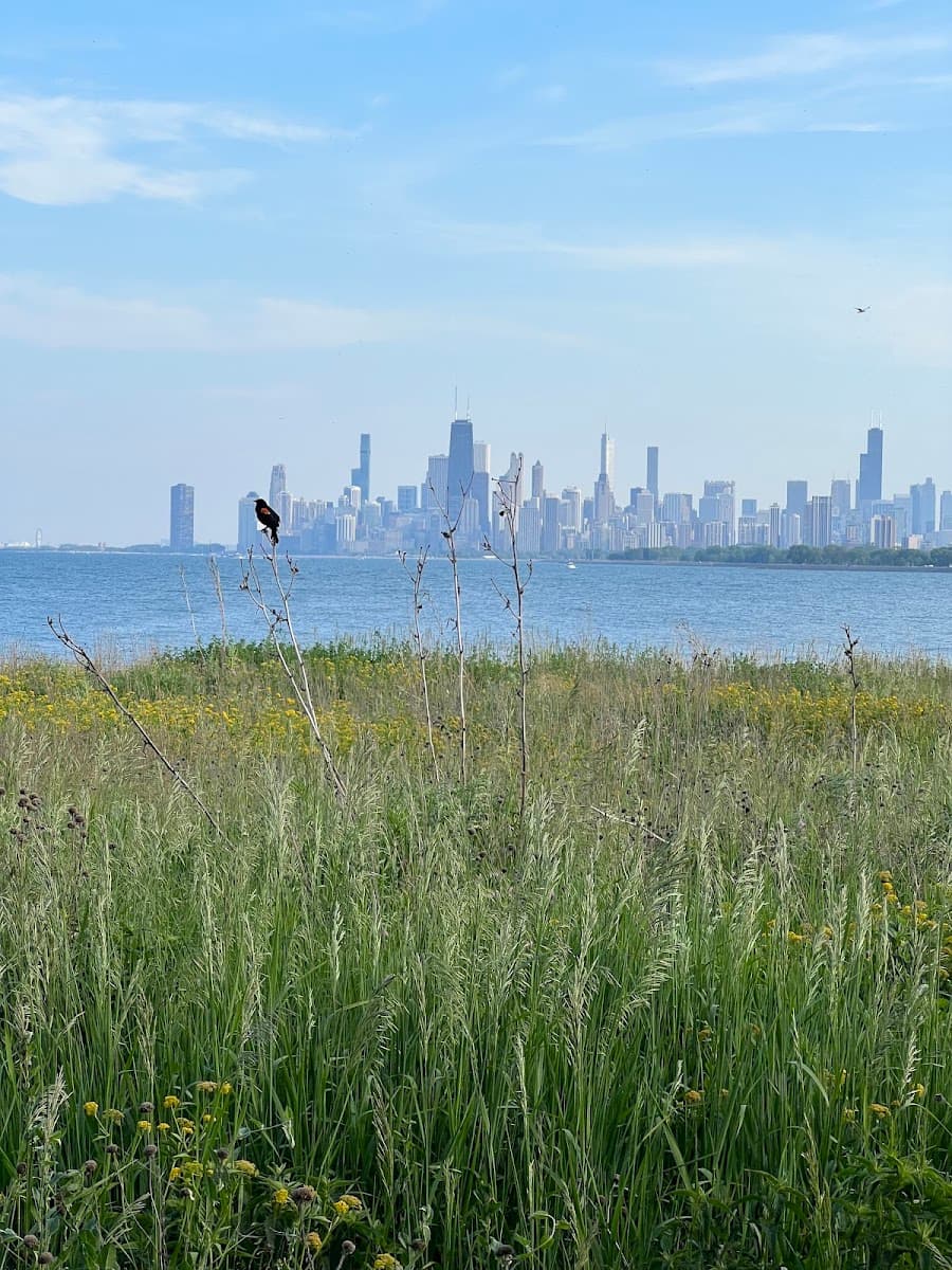 Montrose Point Bird Sanctuary — photo 1 of 1