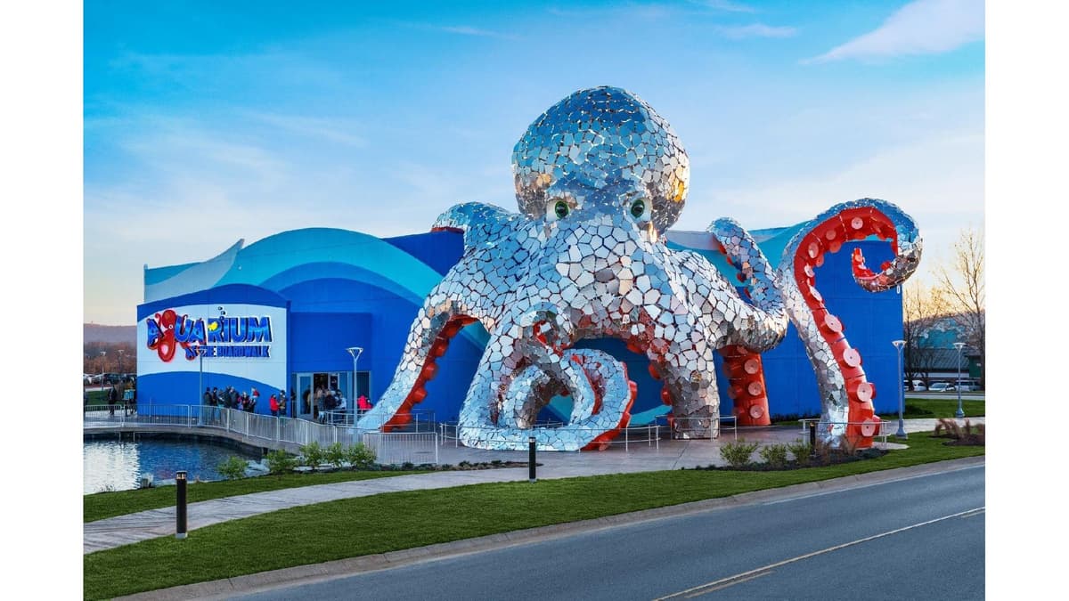 Aquarium at the Boardwalk