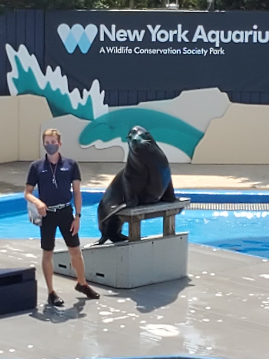 New York Aquarium Education Department