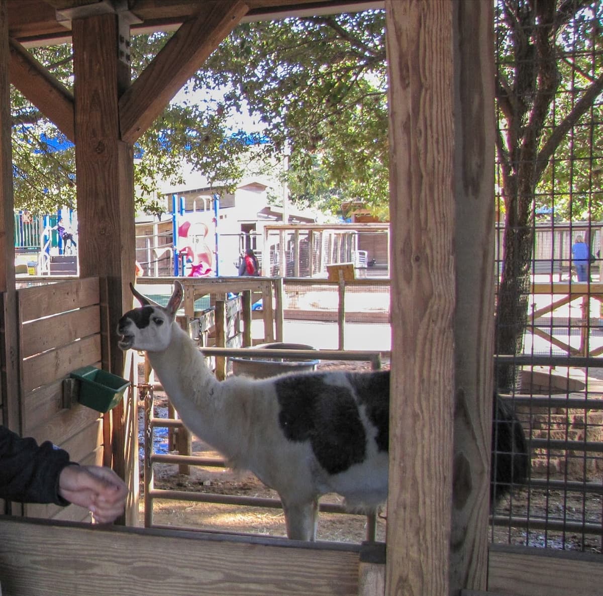 John P. McGovern Children's Zoo