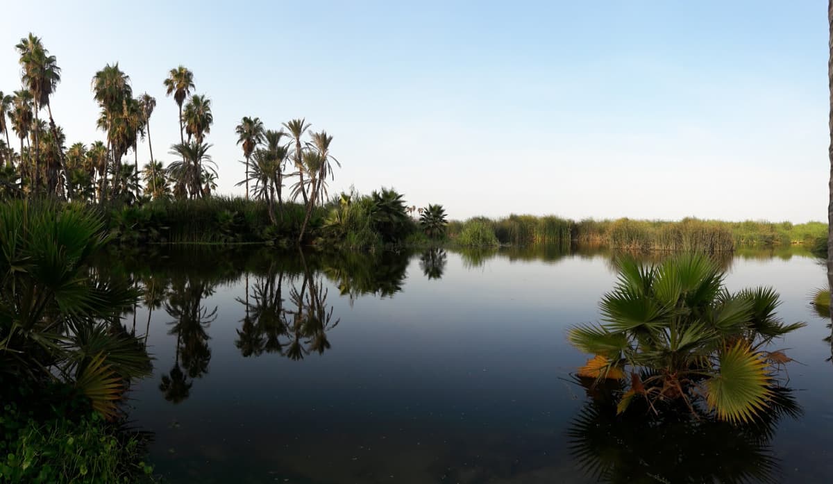San Jose del Cabo Estuary & Bird Sanctuary — photo 1 of 1