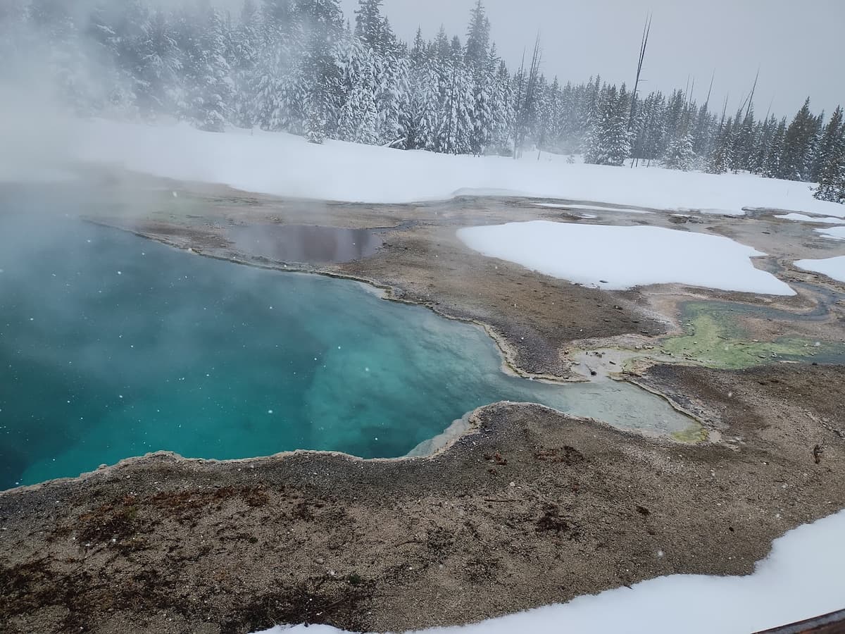 BrushBuck Wildlife Tours