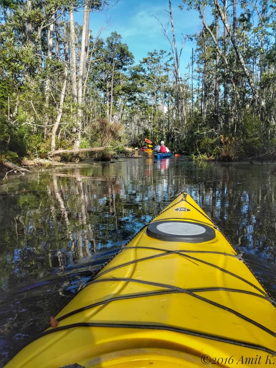 Alligator River National Wildlife Refuge — photo 1 of 1