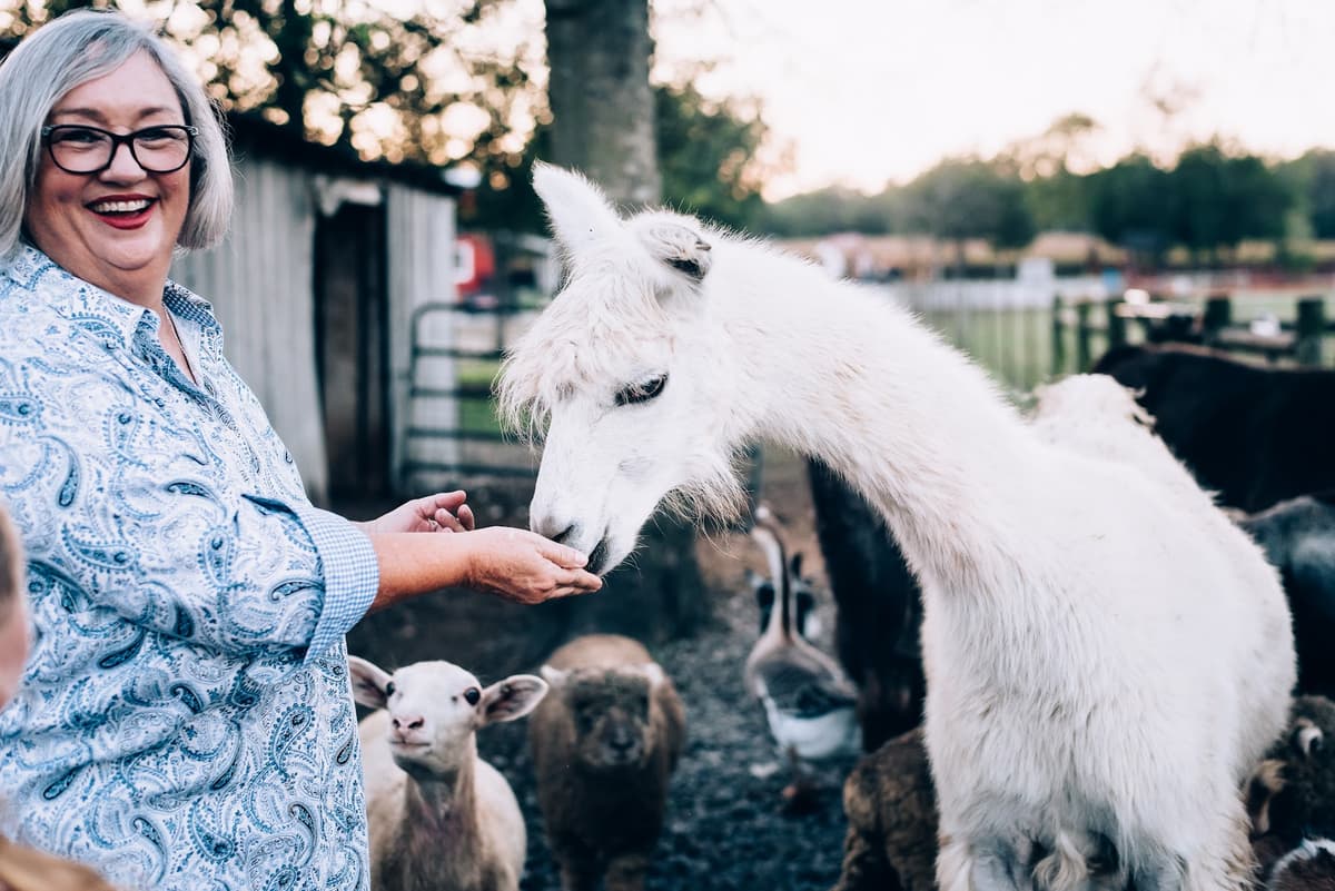 Lucky Ladd Farms - Farm Park & Zoo