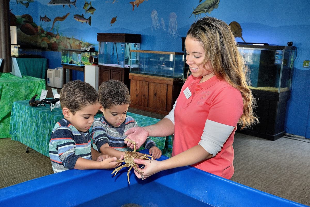 Glen Echo Park Aquarium