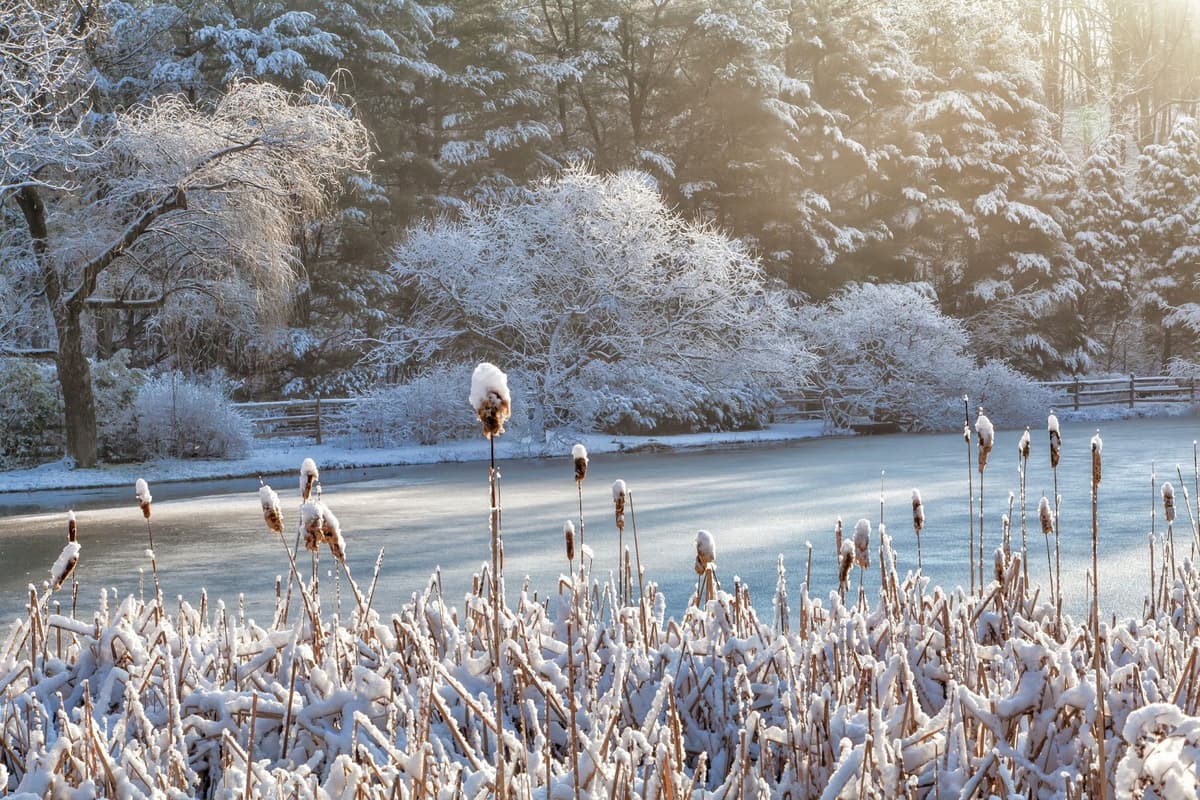 Jenkins Arboretum & Gardens