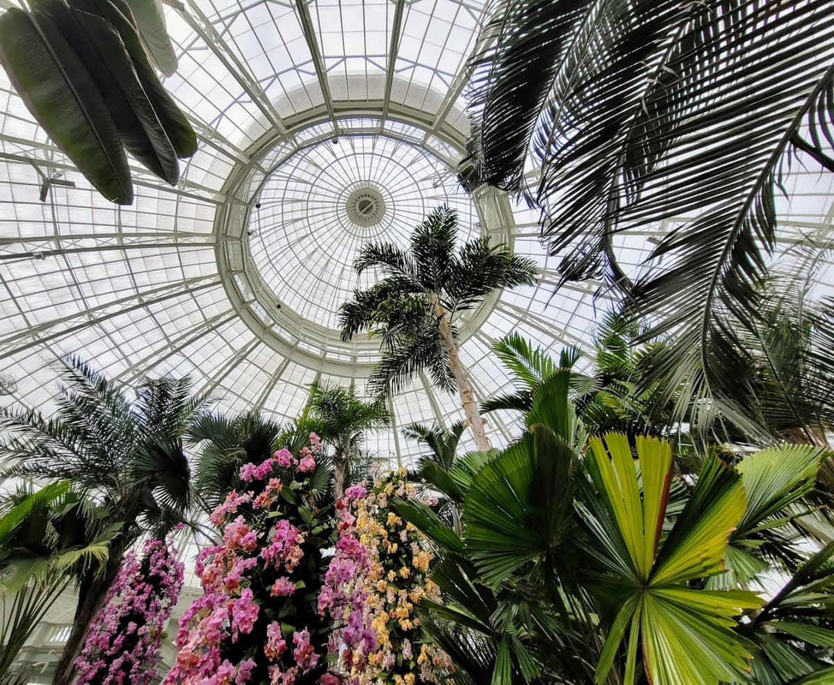 Enid A. Haupt Conservatory, NYBG