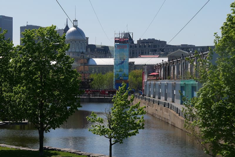 Tyrolienne MTL Zipline