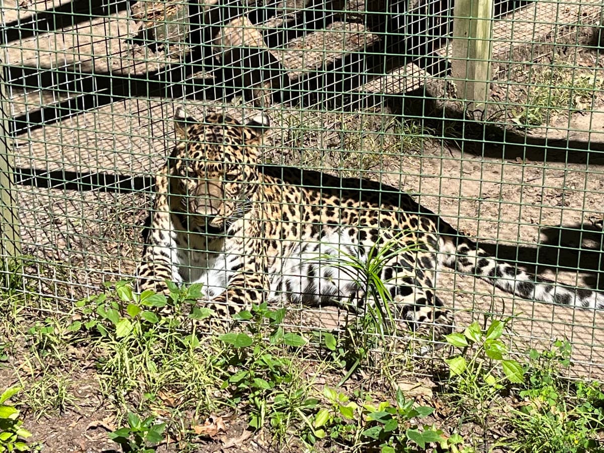 Zoo in Forest Park and Education Center