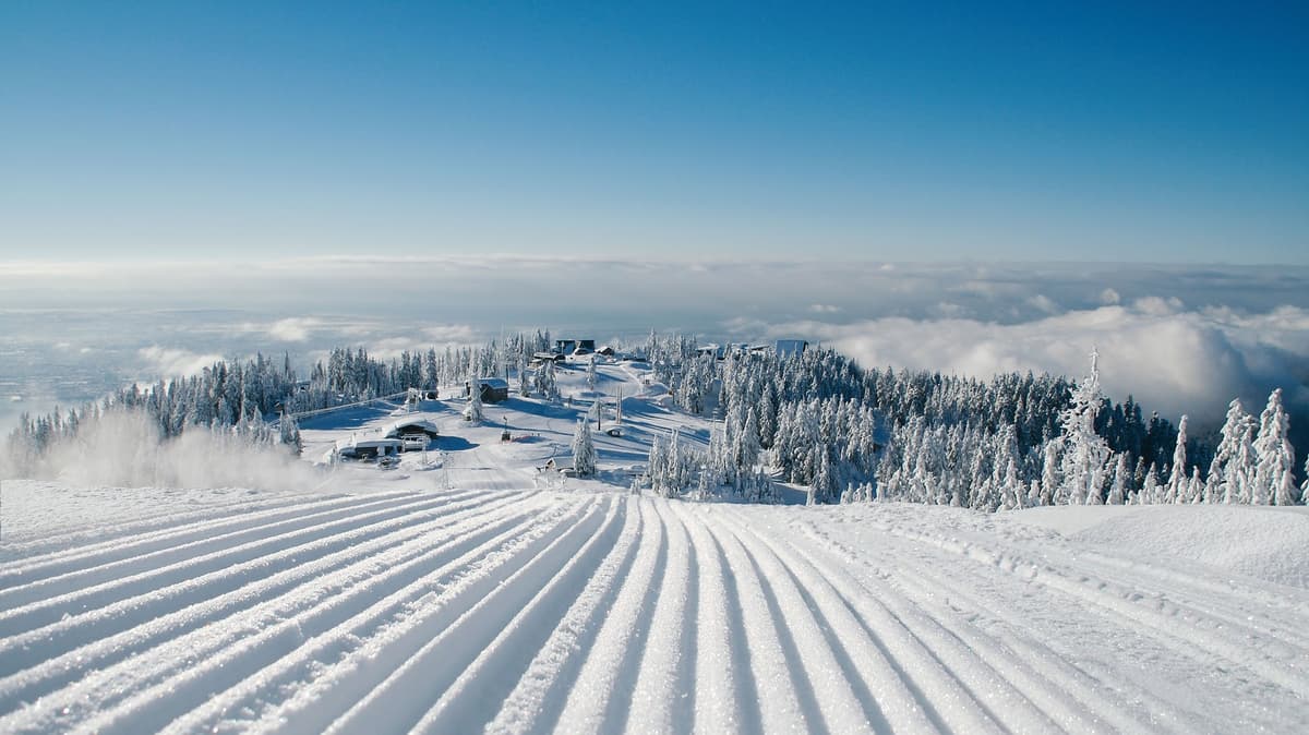 Grouse Mountain