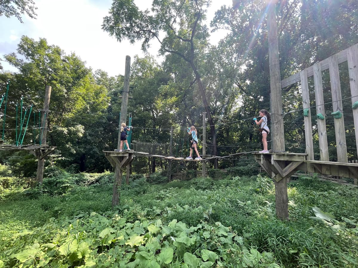 Treetop Quest Philly Adventure Park and Ziplines