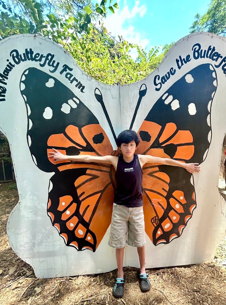 The Maui Butterfly Farm