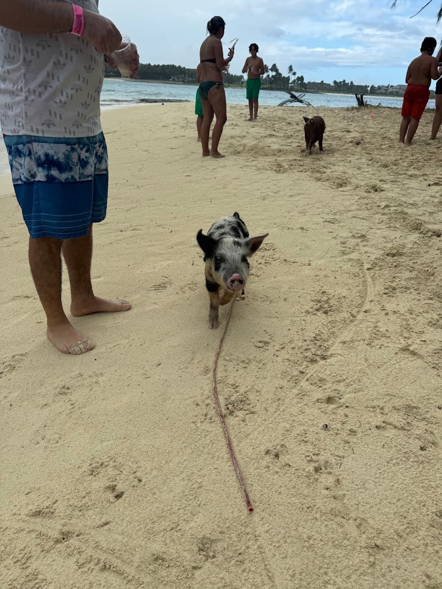 Paradise Ocean Sports Ltd. — photo 1 of 1