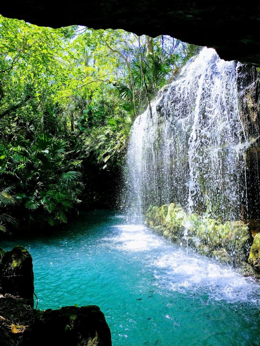 Xenses Park — photo 1 of 1