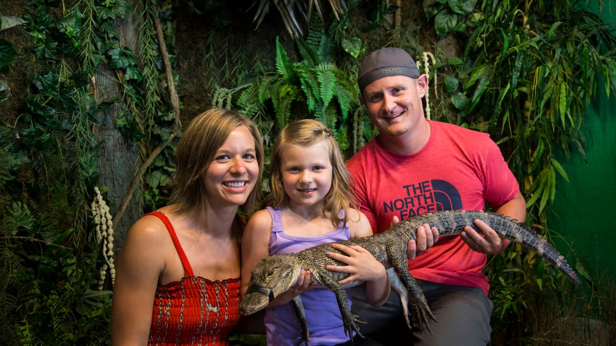 Gator Beach - The World's Greatest Alligator Park