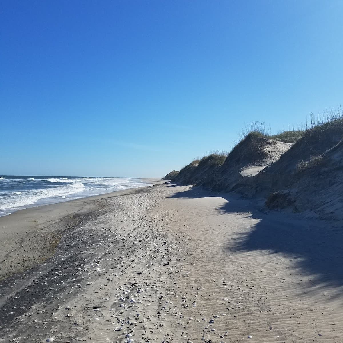 Pea Island National Wildlife Refuge — photo 1 of 1