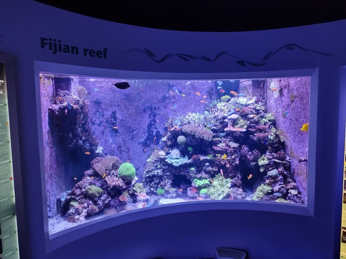 Horniman Aquarium