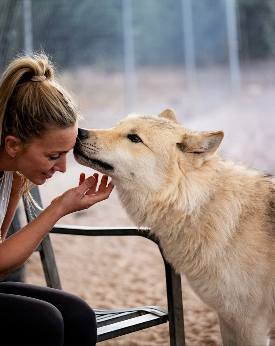 Sedona Wolf Sanctuary