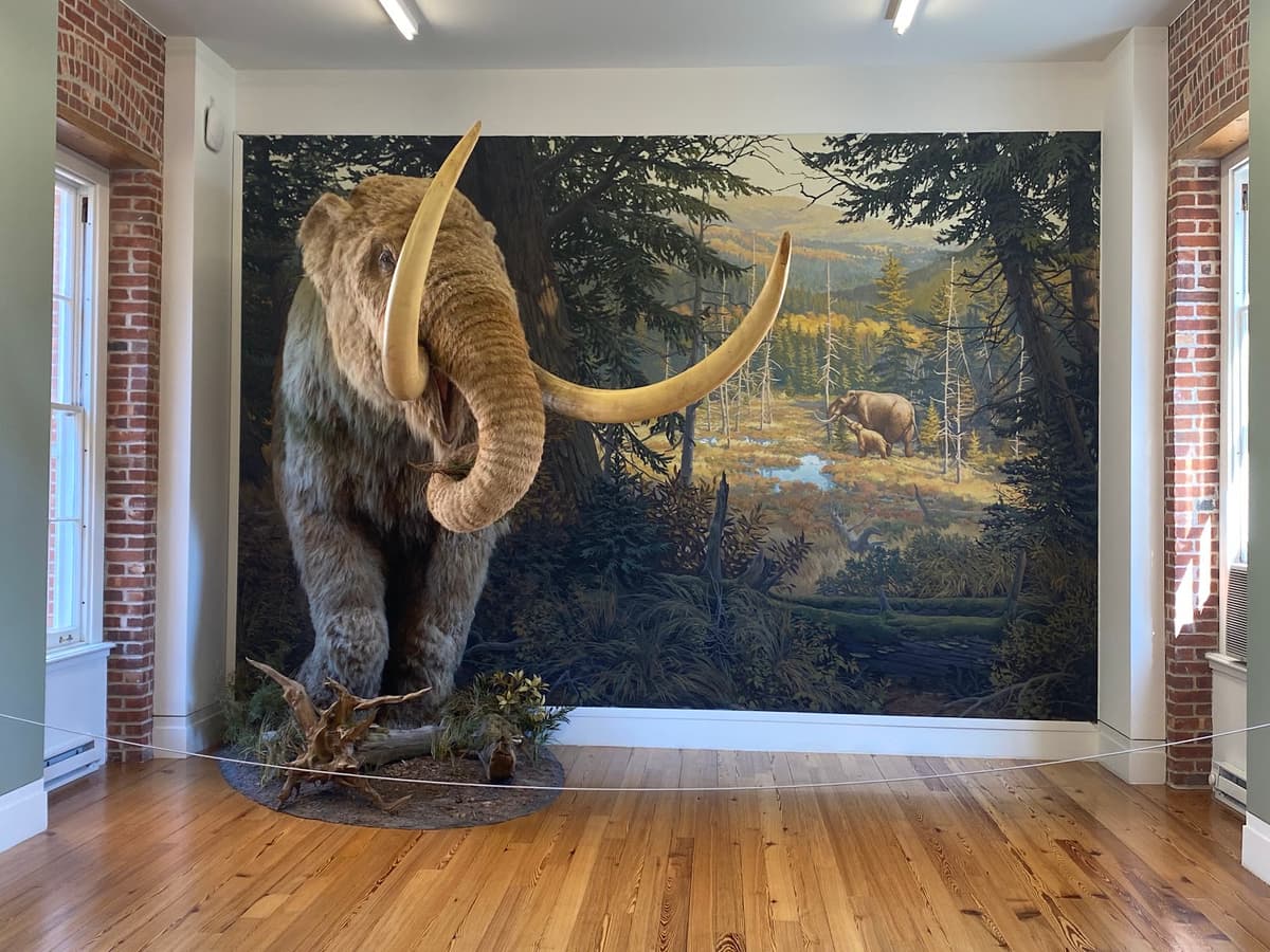 Staten Island Museum