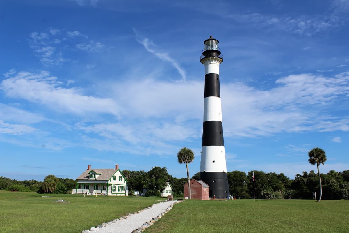 Canaveral Wildlife Tours