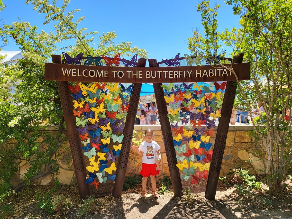 Butterfly Habitat — photo 1 of 1