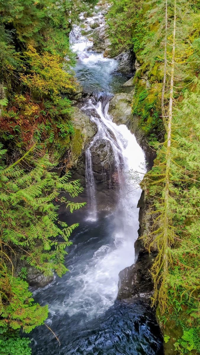 Lynn Canyon Park — photo 1 of 1