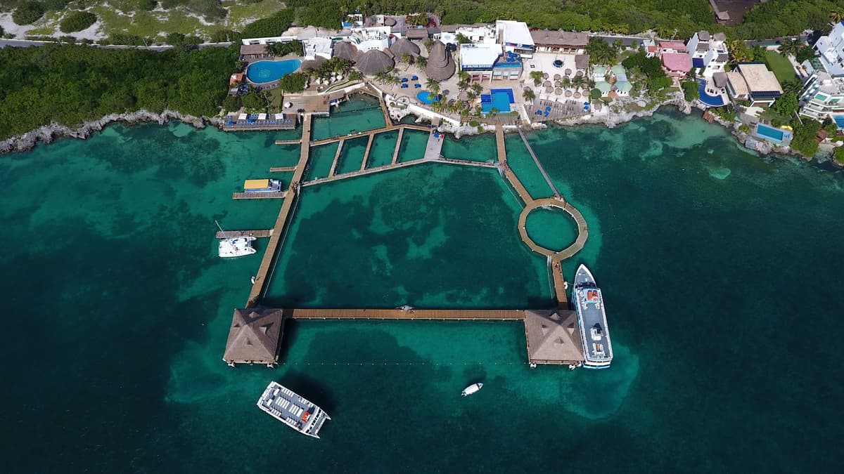 Dolphin Discovery Isla Mujeres — photo 1 of 1