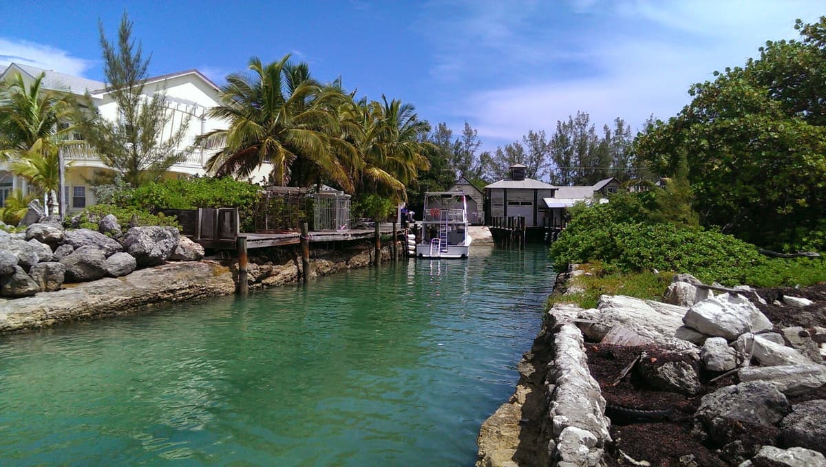 Stuart Cove's Snorkel Bahamas