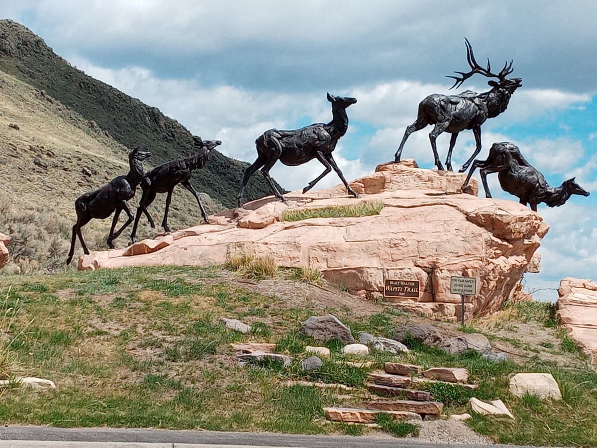 National Museum of Wildlife Art