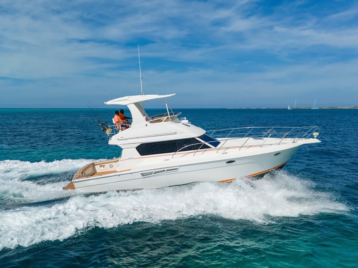 SeasThe Adventure Ltd.