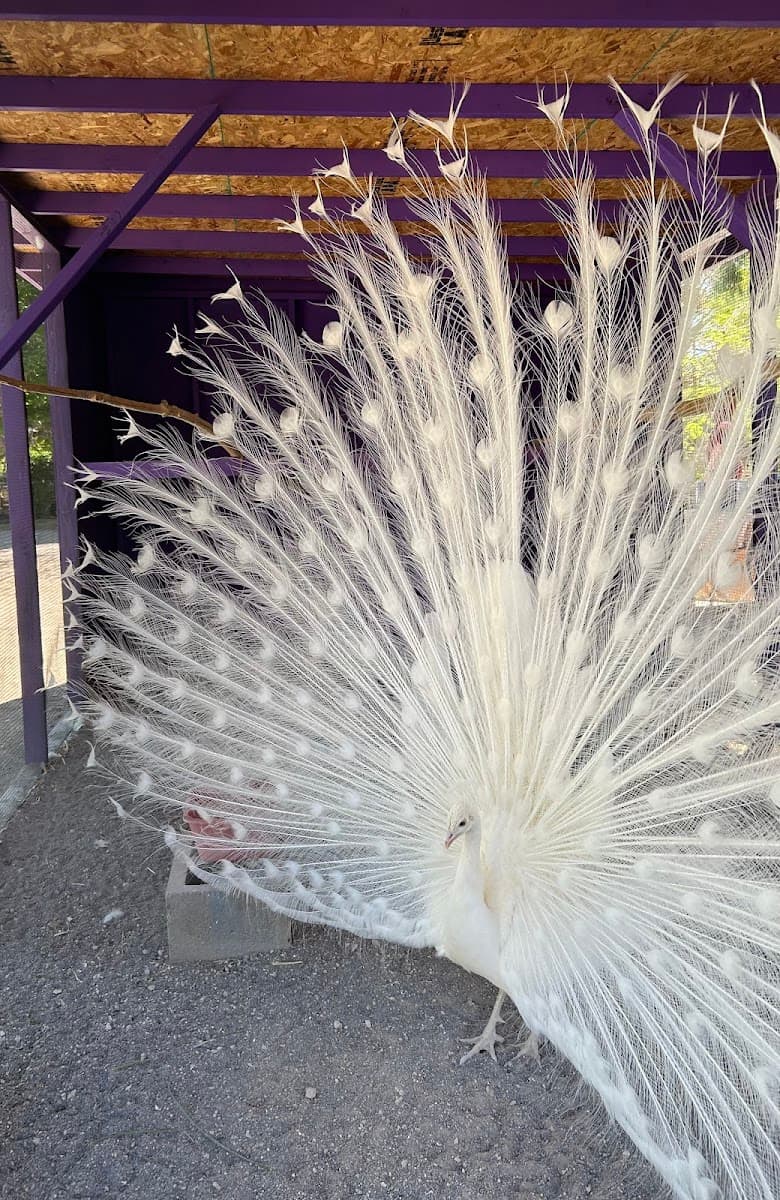 Gilcrease Nature Sanctuary — photo 1 of 1