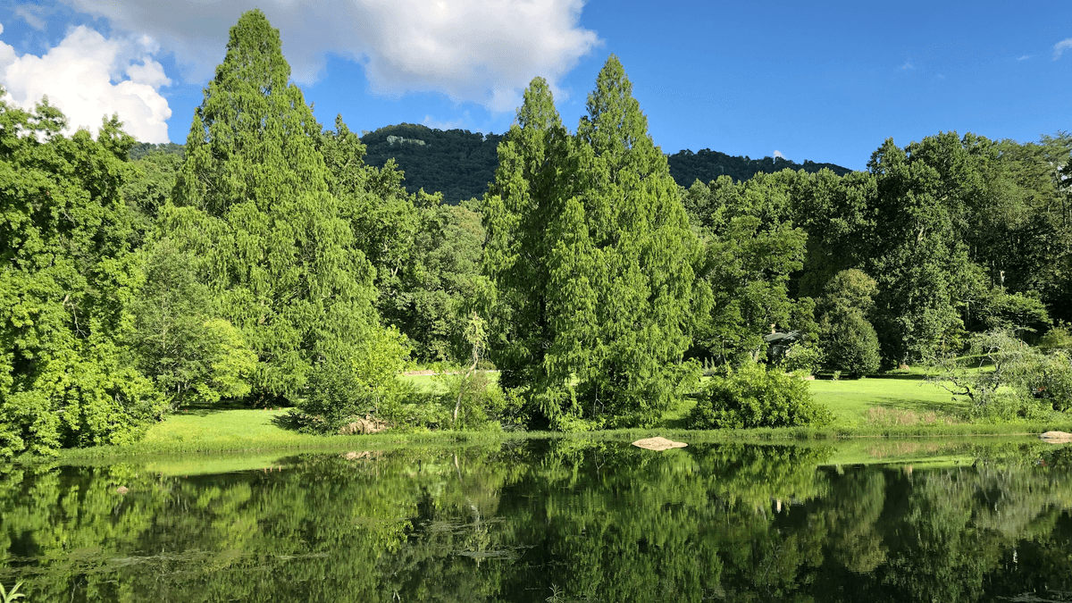 Reflection Riding Arboretum & Nature Center